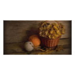 Rural Still Life photo cards
