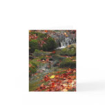 Rushing Water