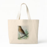 Russet-backed Thrush bags