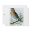 Russet-backed Thrush invitations