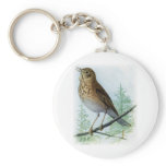 Russet-backed Thrush keychains