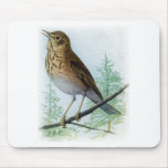 Russet-backed Thrush mousepads