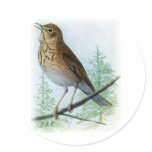 Russet-backed Thrush stickers