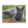 Russia Blue, Natasha Postcards