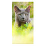 Russian Blue cat Custom Photo Card