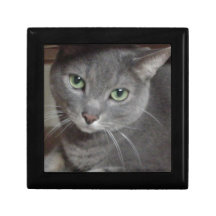 Russian Blue Grey Cat Keepsake Box