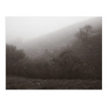 Russian Ridge in Snow Post Cards