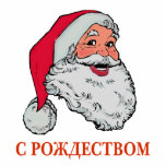 Russian Santa photo sculptures