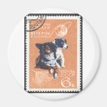 Russian Space Dogs 1966 Cosmos 110 Fridge Magnets