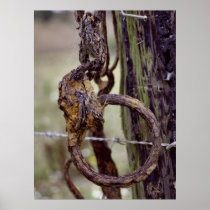 Rusted Ring Print