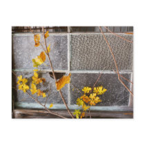 Rustic Autumn Vines Against An Old Building Card