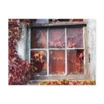 Rustic Autumn Vines Against An Old Building Card