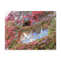Rustic Autumn Vines Against An Old Building Card