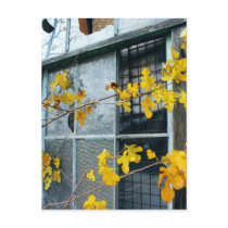 Rustic Autumn Vines Against An Old Building Card