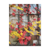 Rustic Autumn Vines Against An Old Building Card