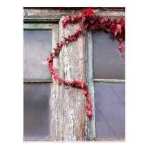 Rustic Autumn Vines Against An Old Building Card Postcard