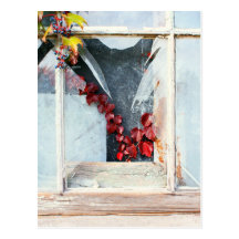 Rustic Autumn Vines Against An Old Building Card Postcard