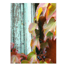 Rustic Autumn Vines Against An Old Building Card Post Cards