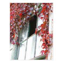 Rustic Autumn Vines Against An Old Building Card Postcard