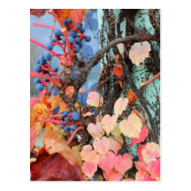 Rustic Autumn Vines Against An Old Building Card Post Cards