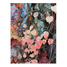 Rustic Autumn Vines Against An Old Building Card Postcard