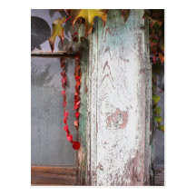 Rustic Autumn Vines Against An Old Building Card Post Card