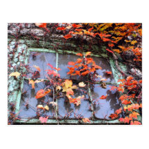 Rustic Autumn Vines Against An Old Building Card Post Card