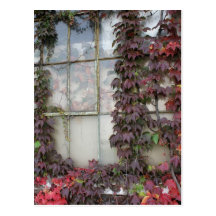 Rustic Autumn Vines Against An Old Building Card Postcards