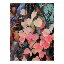 Rustic Autumn Vines Against An Old Building Card Post Cards