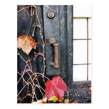 Rustic Autumn Vines Against An Old Building Card Postcards