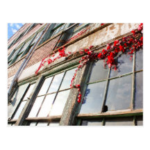 Rustic Autumn Vines Against An Old Building Card Post Cards