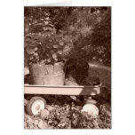 Rustic Garden Lifescape Greeting Cards