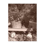 Rustic Garden Lifescape Postcards