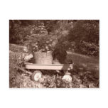 Rustic Garden Lifescape Post Cards