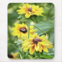 Rustic Mix Rudbeckias