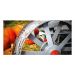 Rustic Pumpkins photo cards