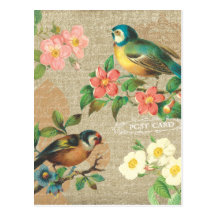Rustic Vintage Birds and Flowers Shabby Elegance Postcard