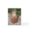 Rusty Bunny Note Card