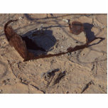 Rusty Cans Desert Sand photo sculptures