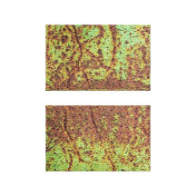 Rusty green canvas print