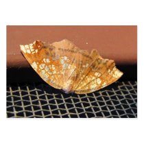 Rusty Moth ~ ATC