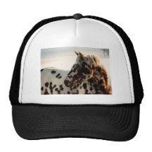 Rusty the Appaloosa Hat
