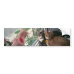 rustyandchunky bumper stickers