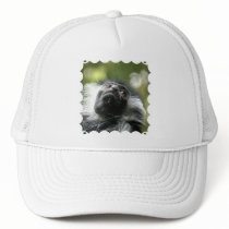 Rwanda Colobus Monkey Baseball Hat