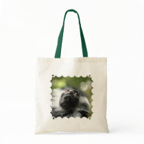 Rwanda Colobus Monkey Budget Tote Bag