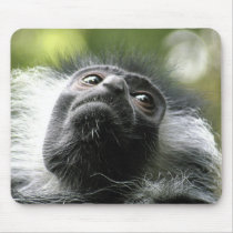 Rwanda Colobus Monkey Mouse Pad