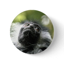Rwanda Colobus Monkey Round Button