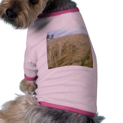 Rye Plants Seed Pet Shirt by lifesphere