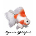Ryukin Goldfish Ladies Baby Doll Shirt