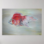 Ryukin Goldfish posters
